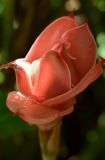 12011151-AJS_2754.jpg